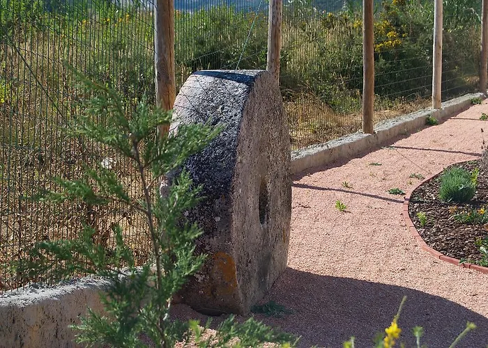 Feriehus Moinho Do Avo *